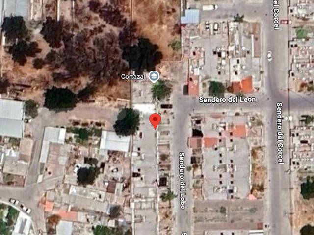 place photo 16