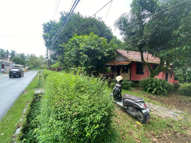 place photo 27