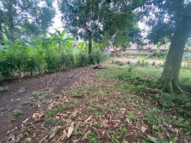 place photo 29