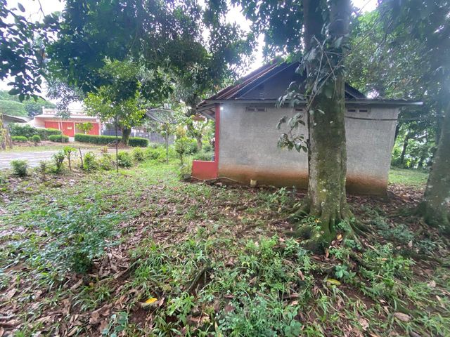 place photo 30