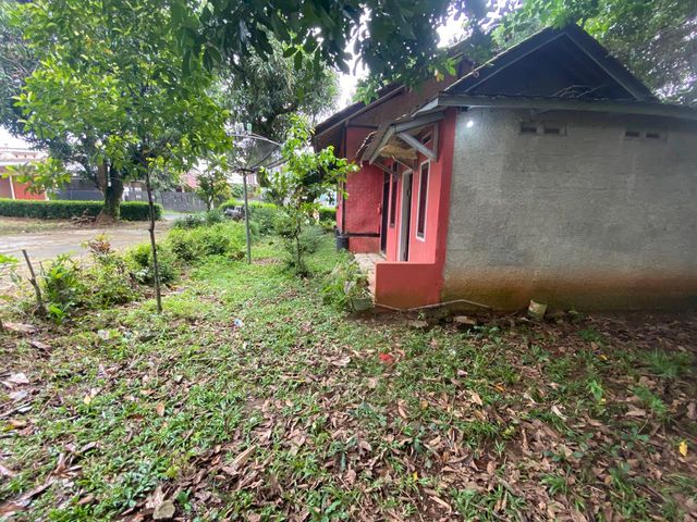 place photo 31