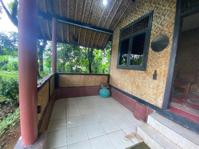 place photo 50