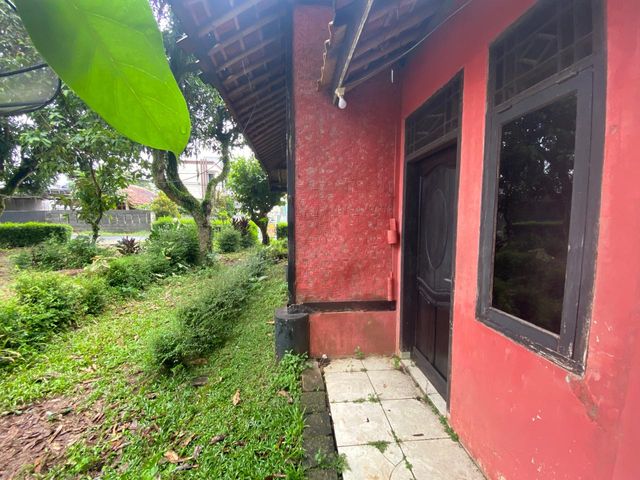 place photo 34