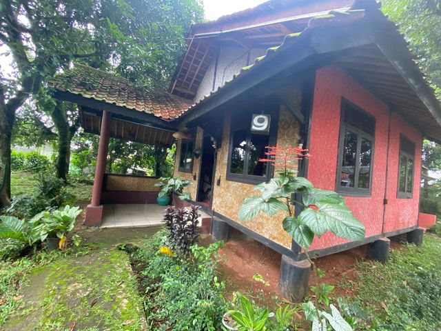 place photo 38