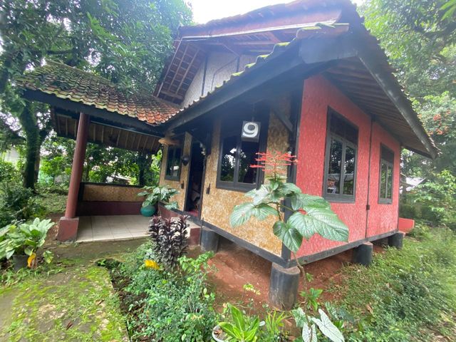place photo 39