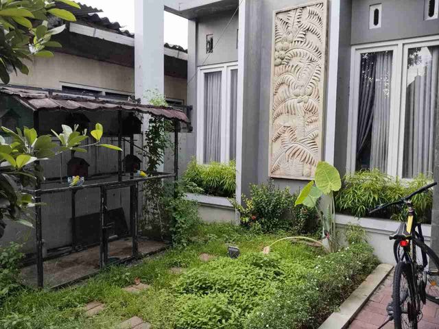 place photo 28