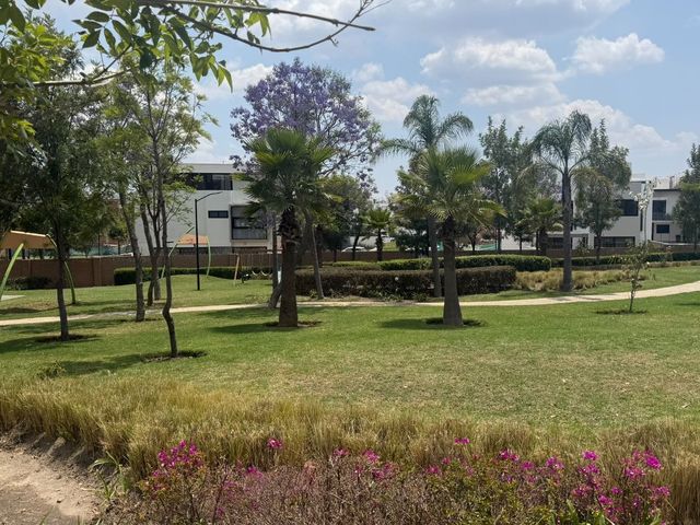 place photo 37