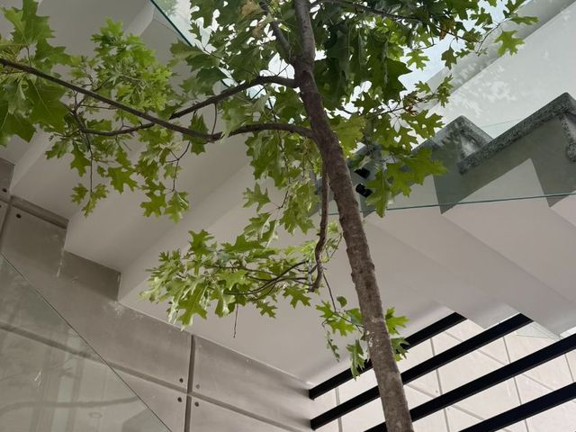 place photo 45