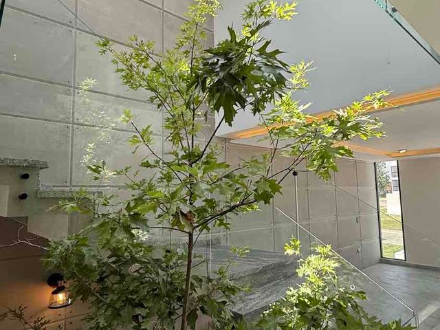 place photo 47