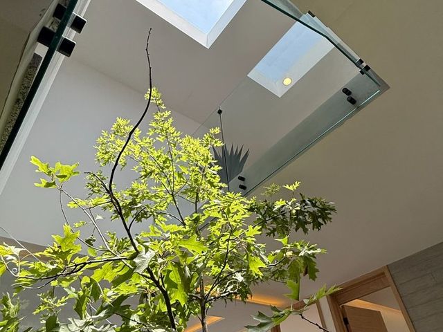 place photo 35