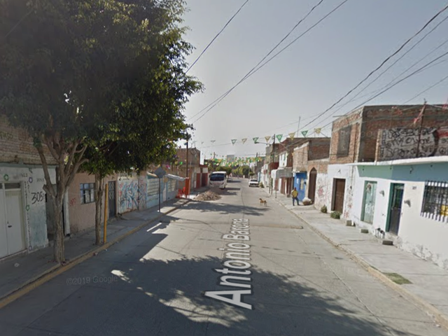 place photo 18