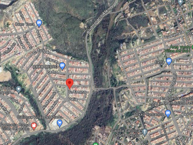 place photo 10
