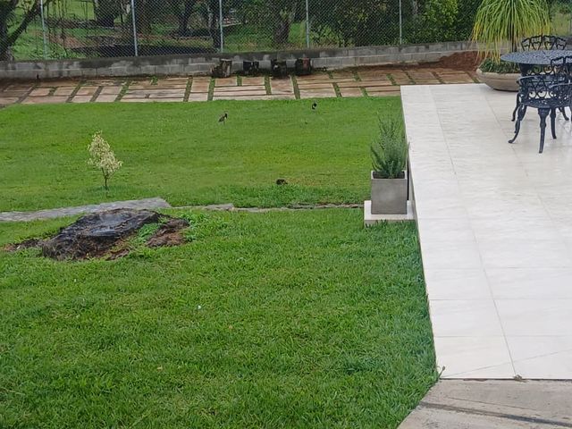 place photo 45