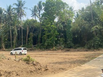 Tridadi, Special Region Of Yogyakarta, SLEMAN, Special Region Of Yogyakarta