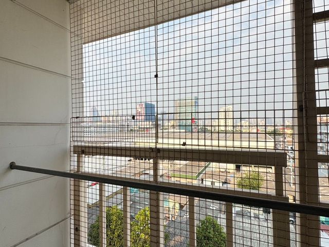 place photo 20