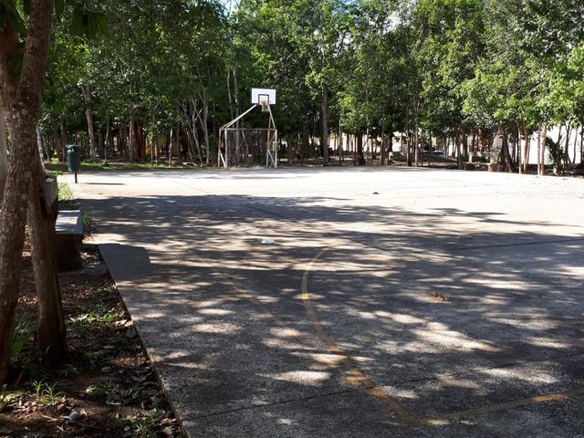 place photo 21