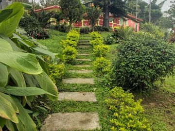 place photo 28