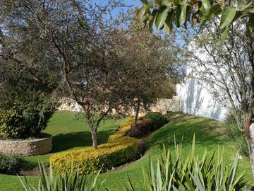 place photo 49