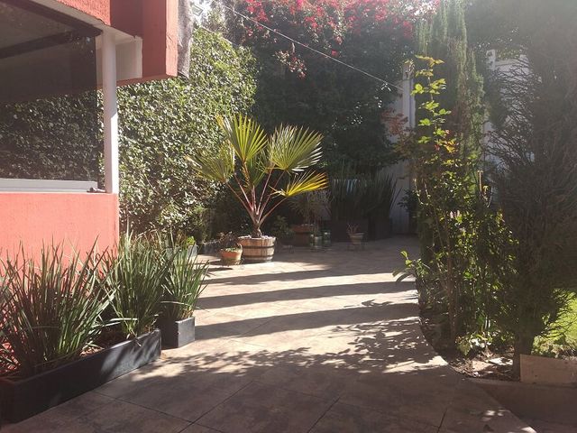 place photo 20