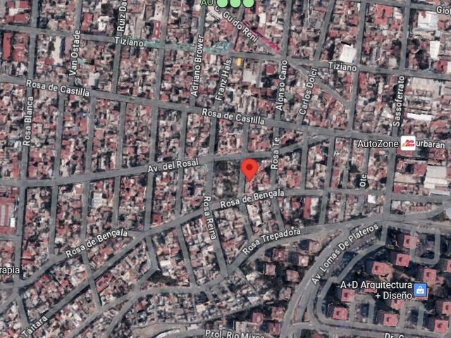 place photo 14