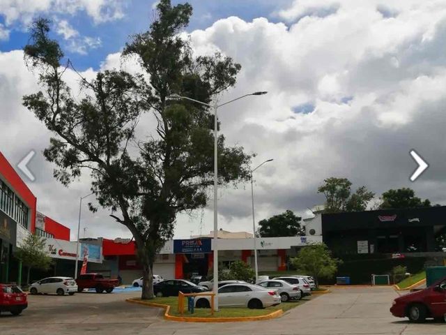 place photo 10