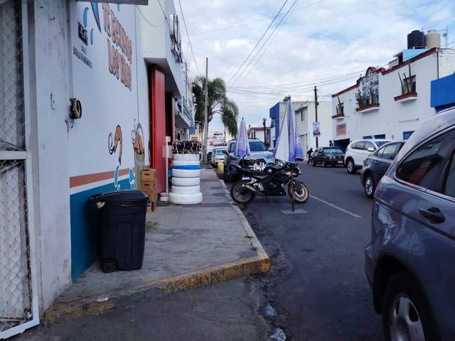 place photo 24