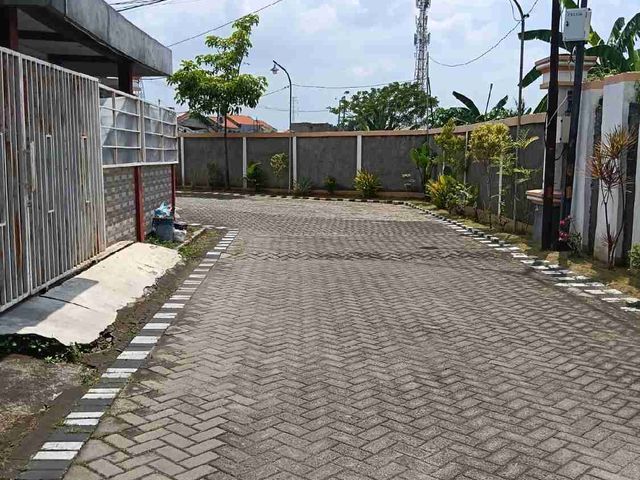 place photo 16