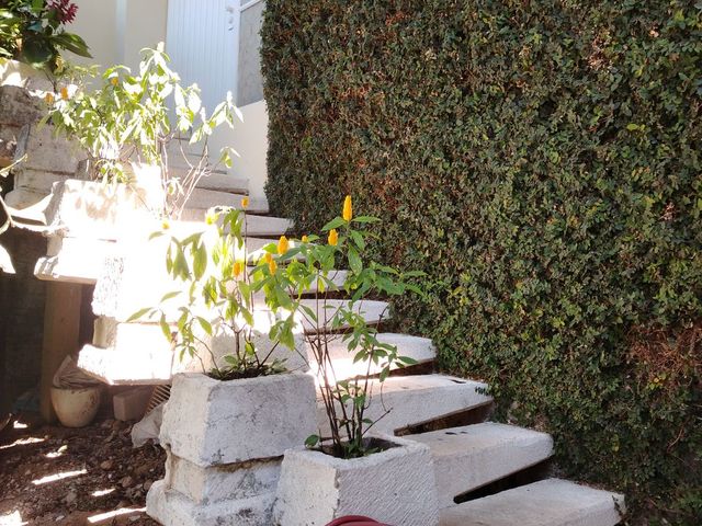 place photo 76