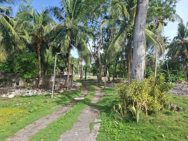 place photo 21