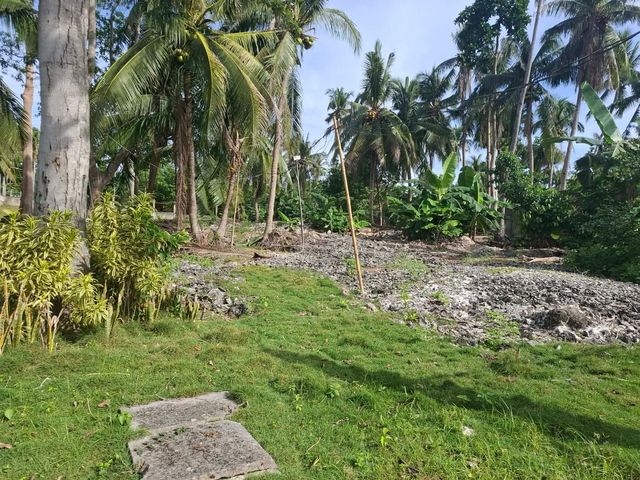 place photo 22