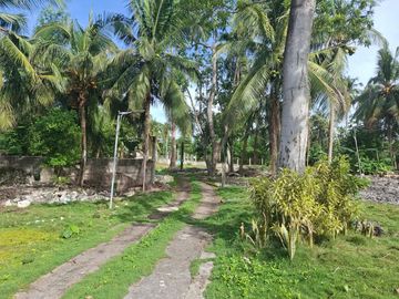 place photo 22