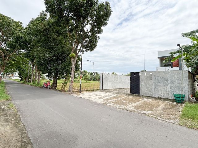 place photo 24