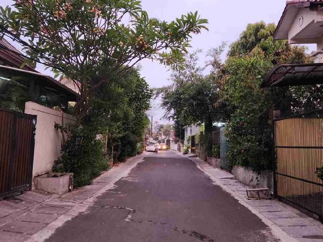 place photo 22