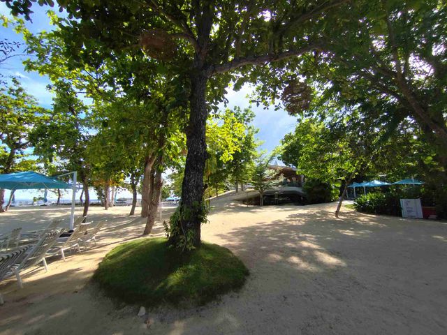place photo 22