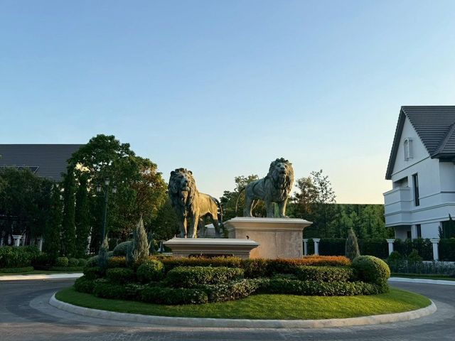 place photo 33