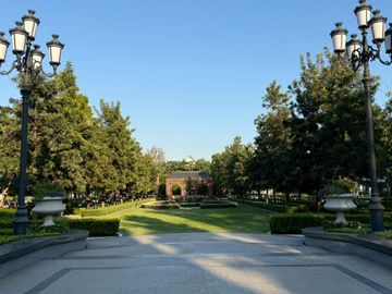 place photo 36