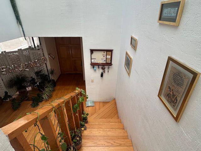 place photo 38