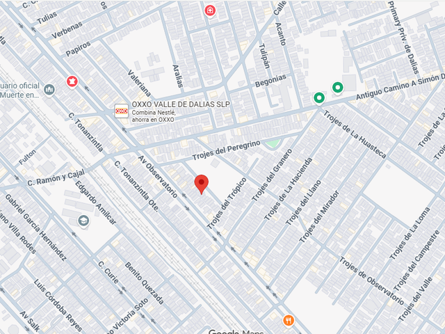 place photo 6