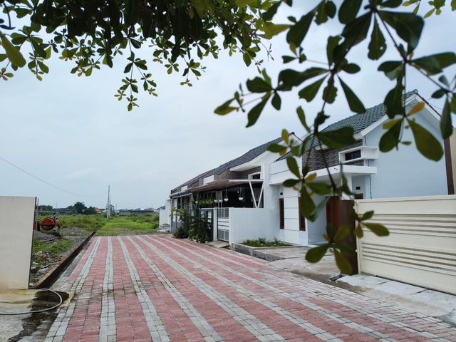 place photo 14