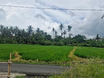 Pejeng, Bali, Indonesia