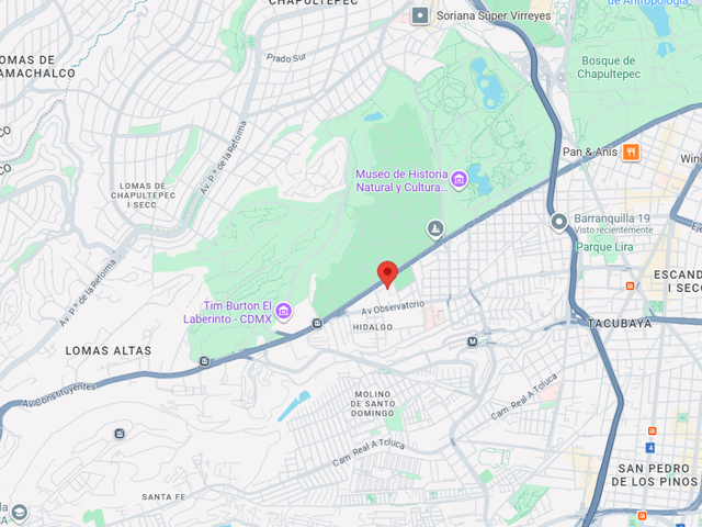 place photo 11
