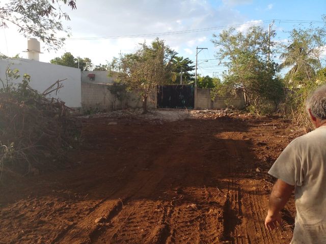 place photo 5