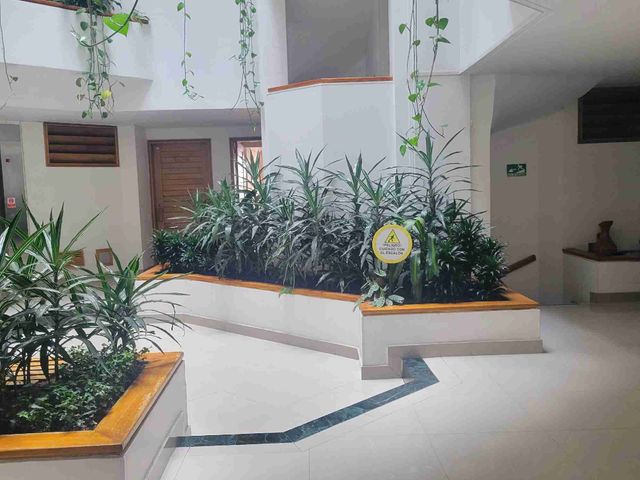 place photo 43