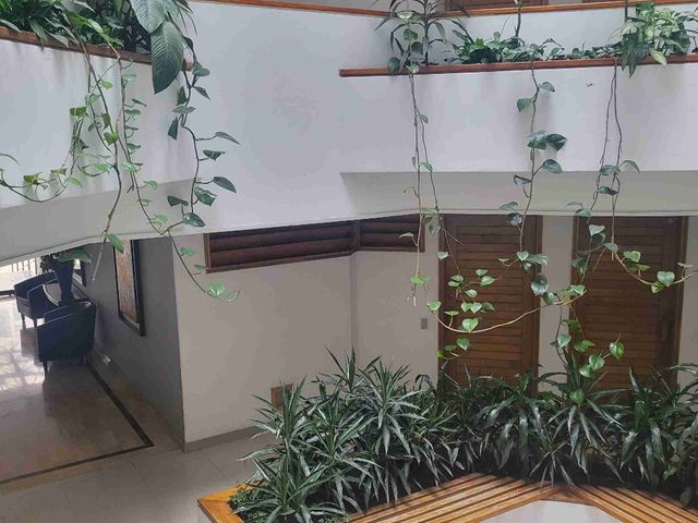 place photo 44