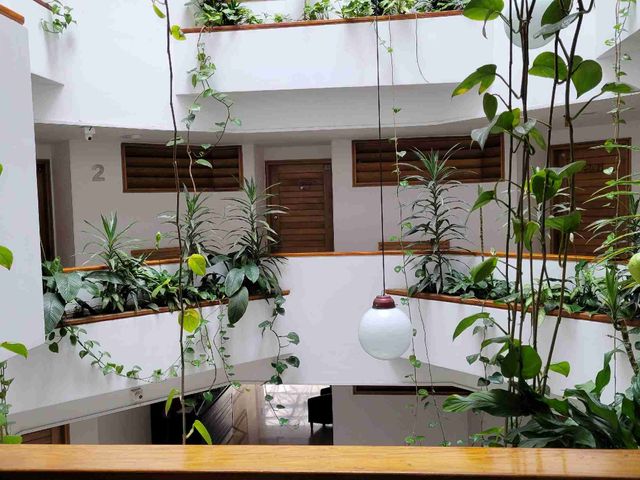 place photo 45