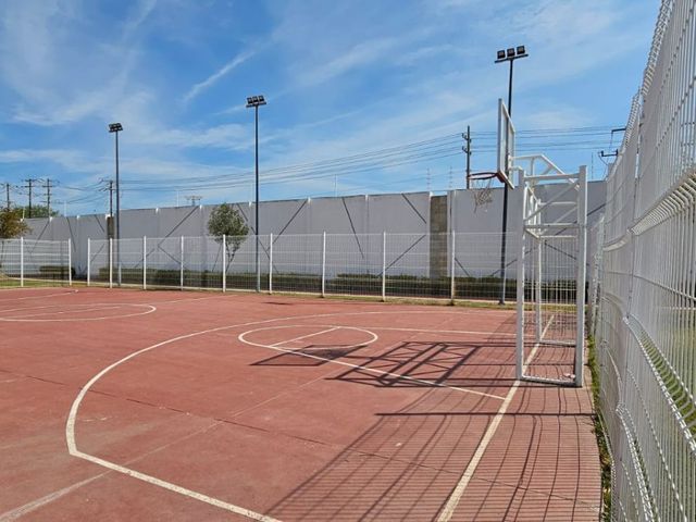 place photo 38