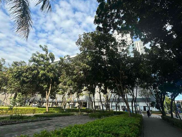 place photo 28