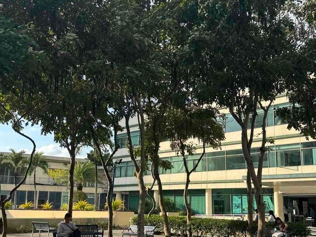 place photo 29