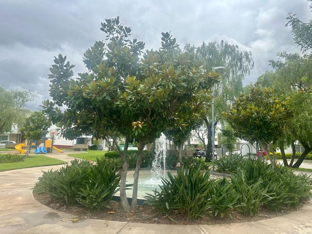 place photo 36