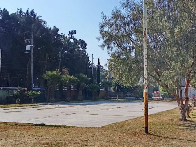place photo 16